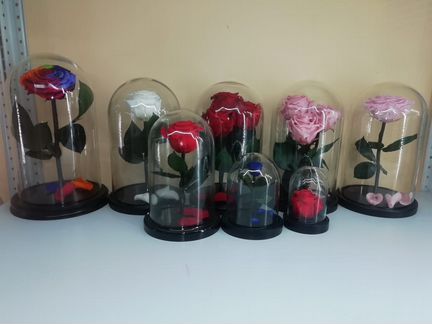 Роза в колбе опт и розница