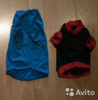Одежда,ошейник,ботиночки для маленькой собачки