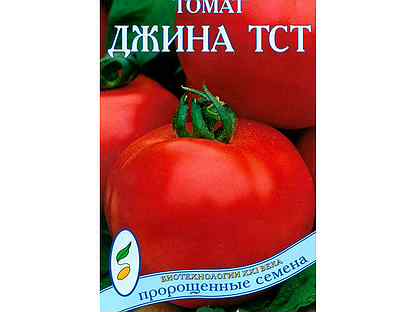 Томат джина характеристика и описание отзывы урожайность. Сорт Джина ТСТ помидоры. Томат Джина характеристика и описание сорта. Томат Джина ТСТ куст. Семена помидор Джина.