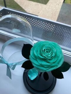 Роза в колбе