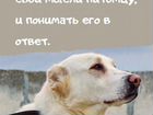 Кинолог, дрессировка собак Симферополь объявление продам