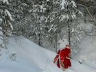Дед Мороз и Снегурочка (на дом) Жуков, Обнинск